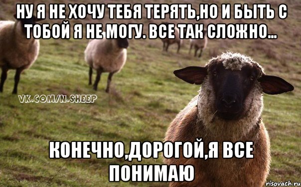 Ну я не хочу тебя терять,но и быть с тобой я не могу. Все так сложно... Конечно,дорогой,я все понимаю, Мем  Наивная Овца