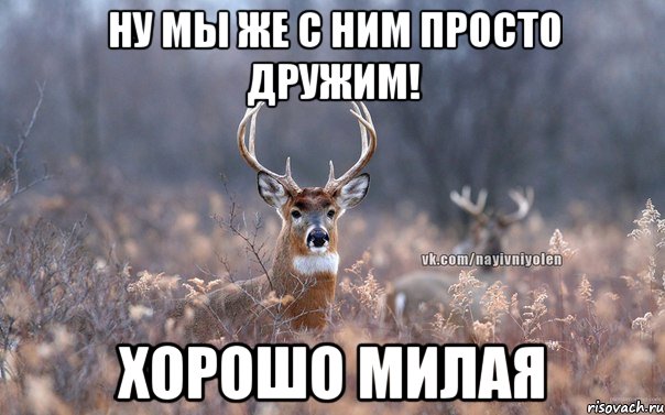 Ну мы же с ним просто дружим! Хорошо милая, Мем   Наивный олень