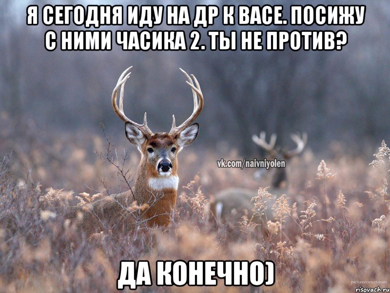 я сегодня иду на др к васе. посижу с ними часика 2. ты не против? да конечно), Мем   Наивный олень