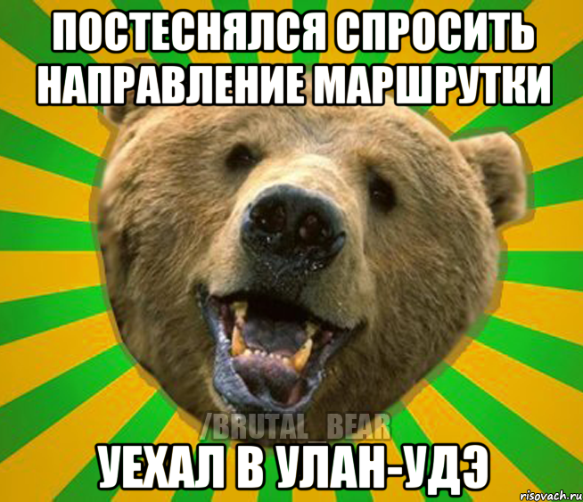 ПОСТЕСНЯЛСЯ СПРОСИТЬ НАПРАВЛЕНИЕ МАРШРУТКИ УЕХАЛ В УЛАН-УДЭ, Мем Нелепый медведь