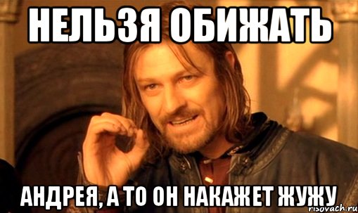 Нельзя обижать Андрея, а то он накажет жужу, Мем Нельзя просто так взять и (Боромир мем)