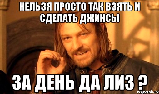 нельзя просто так взять и сделать джинсы за день да Лиз ?, Мем Нельзя просто так взять и (Боромир мем)