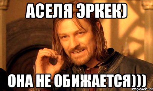 Аселя эркек) Она не обижается))), Мем Нельзя просто так взять и (Боромир мем)