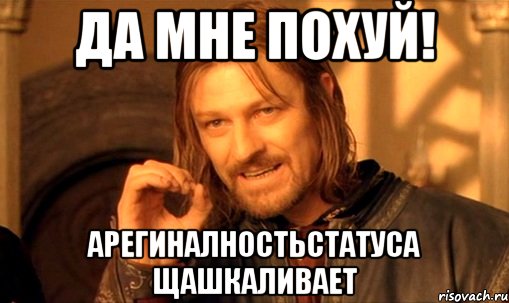 Да мне похуй! арегиналностьстатуса щашкаливает, Мем Нельзя просто так взять и (Боромир мем)