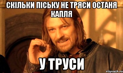 скільки піську не тряси останя капля У ТРУСИ, Мем Нельзя просто так взять и (Боромир мем)