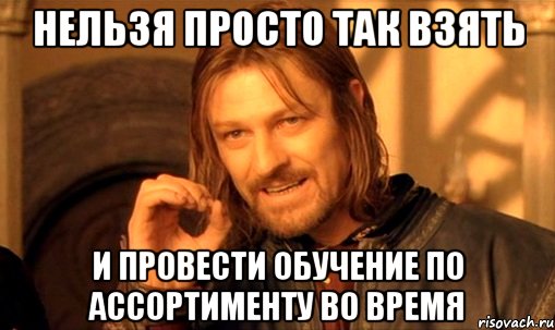 нельзя просто так взять и провести обучение по ассортименту во время, Мем Нельзя просто так взять и (Боромир мем)