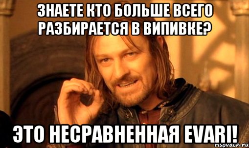 Знаете кто больше всего разбирается в випивке? Это несравненная Evari!, Мем Нельзя просто так взять и (Боромир мем)