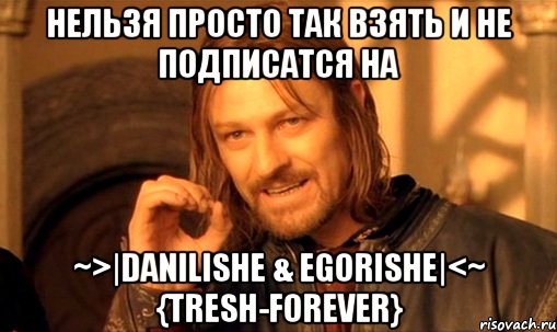 нельзя просто так взять и не подписатся на ~>|Danilishe & Egorishe|<~ {Tresh-forever}, Мем Нельзя просто так взять и (Боромир мем)