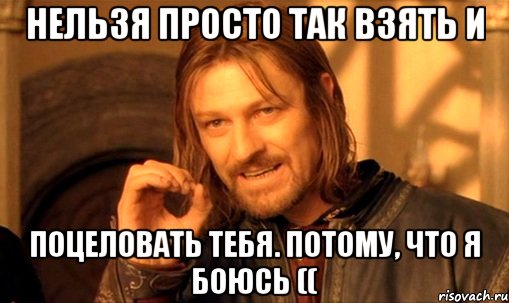 Нельзя просто так взять и поцеловать тебя. потому, что я боюсь ((, Мем Нельзя просто так взять и (Боромир мем)