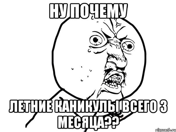 ну почему летние каникулы всего 3 месяца??, Мем Ну почему (белый фон)