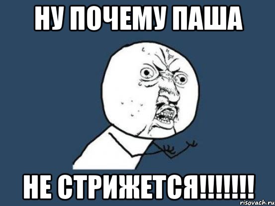 ну почему Паша не стрижется!!!!!!!, Мем Ну почему