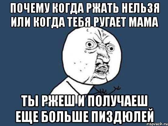 ПОЧЕМУ КОГДА РЖАТЬ НЕЛЬЗЯ ИЛИ КОГДА ТЕБЯ РУГАЕТ МАМА ТЫ РЖЕШ И ПОЛУЧАЕШ ЕЩЕ БОЛЬШЕ ПИЗДЮЛЕЙ, Мем Ну почему