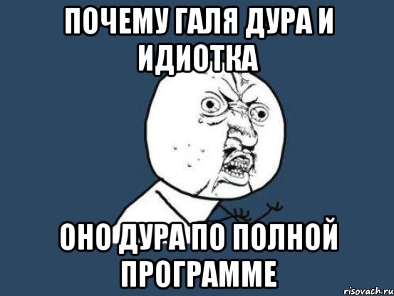 почему Галя дура и идиотка оно дура по полной программе, Мем Ну почему