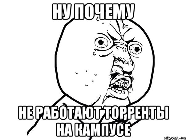 ну почему не работают торренты на кампусе, Мем Ну почему (белый фон)