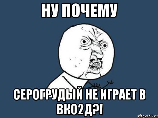 Ну почему Серогрудый не играет в ВКО2д?!, Мем Ну почему