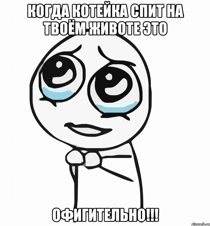 Когда котейка спит на твоём животе это ОФИГИТЕЛЬНО!!!, Мем  ну пожалуйста (please)