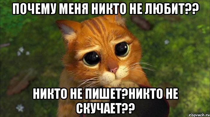 почему меня никто не любит?? Никто не пишет?Никто не скучает??, Мем кот из шрека