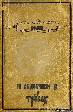 бомж и семечки в трусах, Комикс обложка книги