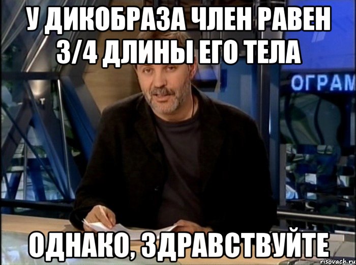 у дикобраза член равен 3/4 длины его тела Однако, здравствуйте, Мем Однако Здравствуйте