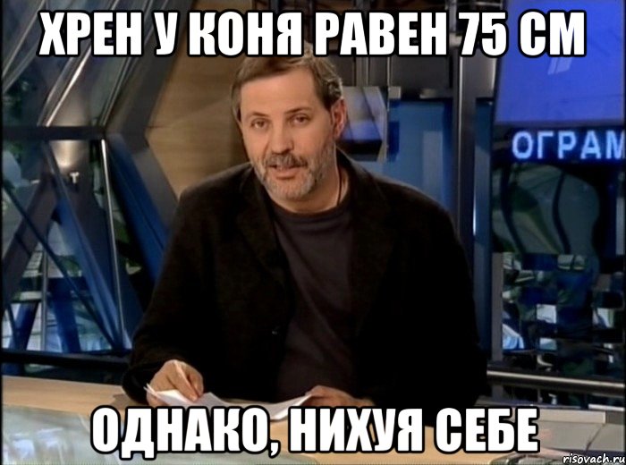 хрен у коня равен 75 см Однако, нихуя себе, Мем Однако Здравствуйте