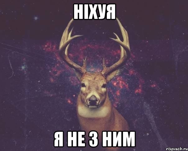 ніхуя я не з ним