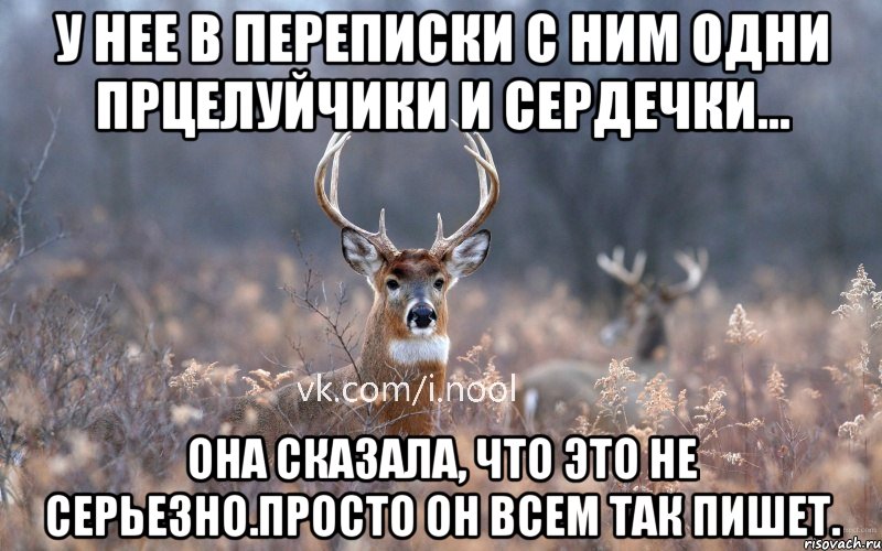 У нее в переписки с ним одни прцелуйчики и сердечки... Она сказала, что это не серьезно.Просто он всем так пишет., Мем   Наивный олень