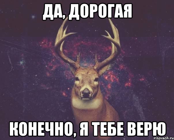 Да, дорогая Конечно, я тебе верю, Мем  олень наивный