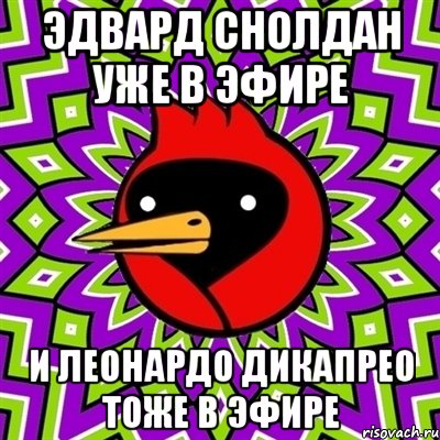 Эдвард Снолдан Уже в Эфире И Леонардо Дикапрео Тоже в Эфире, Мем Омская птица