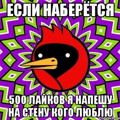 Если наберётся 500 лайков я напешу на стену кого люблю, Мем Омская птица