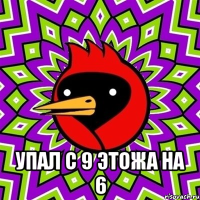  УПАЛ С 9 ЭТОЖА НА 6, Мем Омская птица