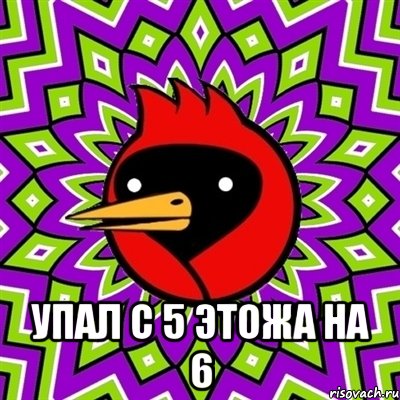  УПАЛ С 5 ЭТОЖА НА 6, Мем Омская птица