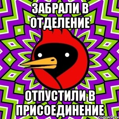 забрали в отделение отпустили в присоединение, Мем Омская птица