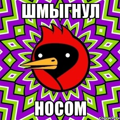 шмыгнул носом, Мем Омская птица