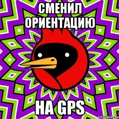 сменил ориентацию на GPS, Мем Омская птица