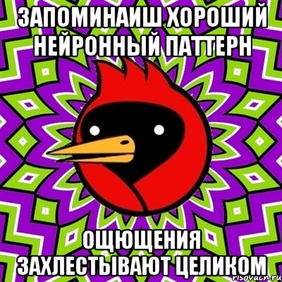 запоминаиш хороший нейронный паттерн ощющения захлестывают целиком, Мем Омская птица