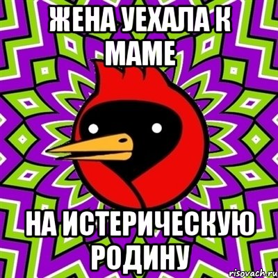 Жена уехала к маме На истерическую родину, Мем Омская птица