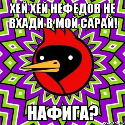 хей хей Нефедов не вхади в мой сарай! нафига?, Мем Омская птица