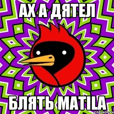 Ах a дятел Блять matila, Мем Омская птица