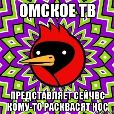 Омское тв Представляет сейчвс кому-то расквасят нос, Мем Омская птица