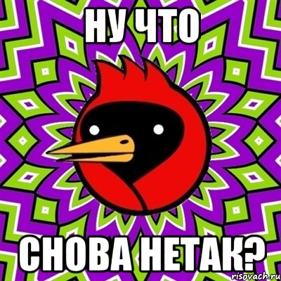 Ну что Снова нетак?, Мем Омская птица