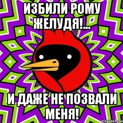 Избили рому желудя!... И даже не позвали меня!, Мем Омская птица