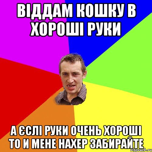 Віддам кошку в хороші руки а єслі руки очень хороші то и мене нахер забирайте, Мем Чоткий паца