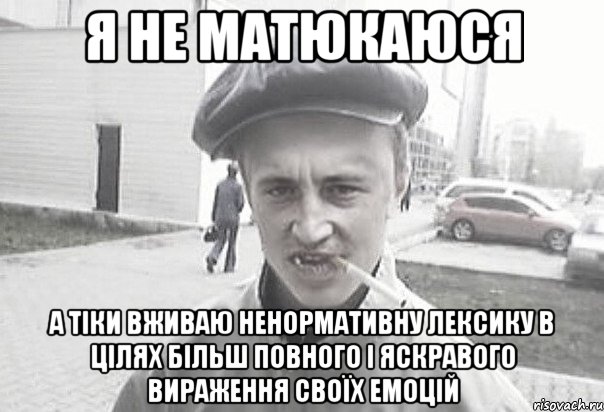 Я не матюкаюся а тіки вживаю ненормативну лексику в цілях більш повного і яскравого вираження своїх емоцій, Мем Пацанська философия