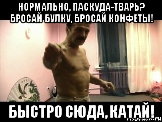 нормально, паскуда-тварь? бросай булку, бросай конфеты! быстро сюда, катай!, Мем Паскуда тварь