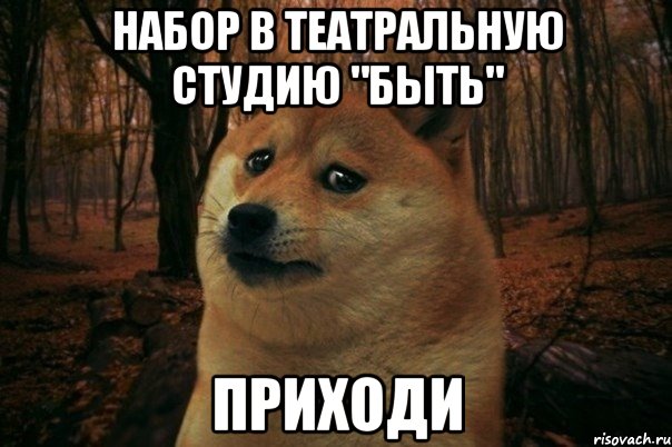 Набор в театральную студию "Быть" Приходи, Мем SAD DOGE