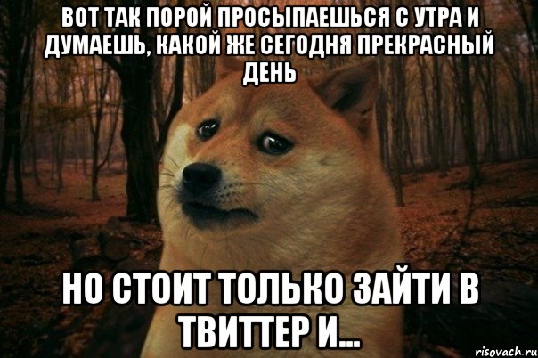 вот так порой просыпаешься с утра и думаешь, какой же сегодня прекрасный день но стоит только зайти в твиттер и..., Мем SAD DOGE