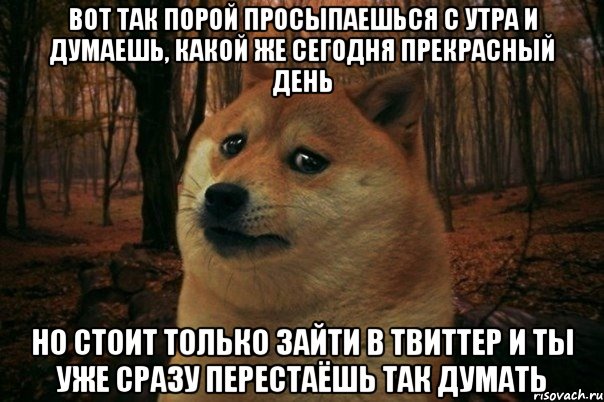 вот так порой просыпаешься с утра и думаешь, какой же сегодня прекрасный день но стоит только зайти в твиттер и ты уже сразу перестаëшь так думать, Мем SAD DOGE