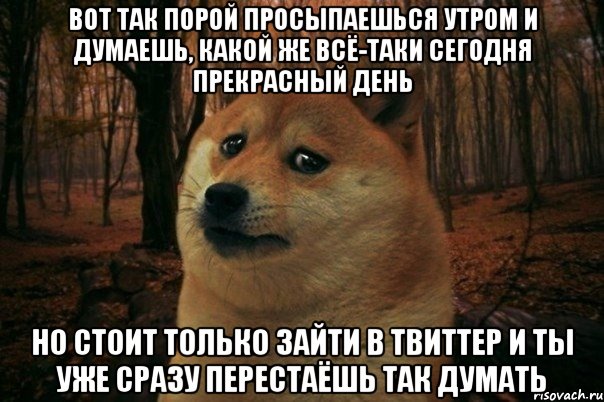 вот так порой просыпаешься утром и думаешь, какой же всë-таки сегодня прекрасный день но стоит только зайти в твиттер и ты уже сразу перестаëшь так думать, Мем SAD DOGE