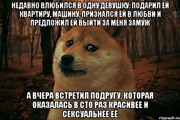 недавно влюбился в одну девушку: подарил ей квартиру, машину, признался ей в любви и предложил ей выйти за меня замуж а вчера встретил подругу, которая оказалась в сто раз красивее и сексуальнее еë, Мем SAD DOGE