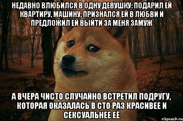 недавно влюбился в одну девушку: подарил ей квартиру, машину, признался ей в любви и предложил ей выйти за меня замуж а вчера чисто случайно встретил подругу, которая оказалась в сто раз красивее и сексуальнее еë, Мем SAD DOGE